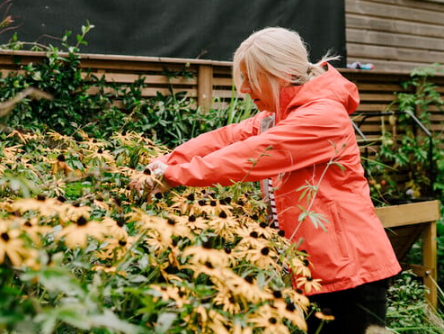 Gardening