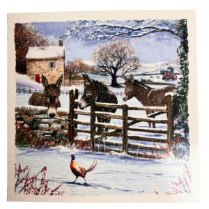 ReMind UK Charity Christmas Cards Donkey Design